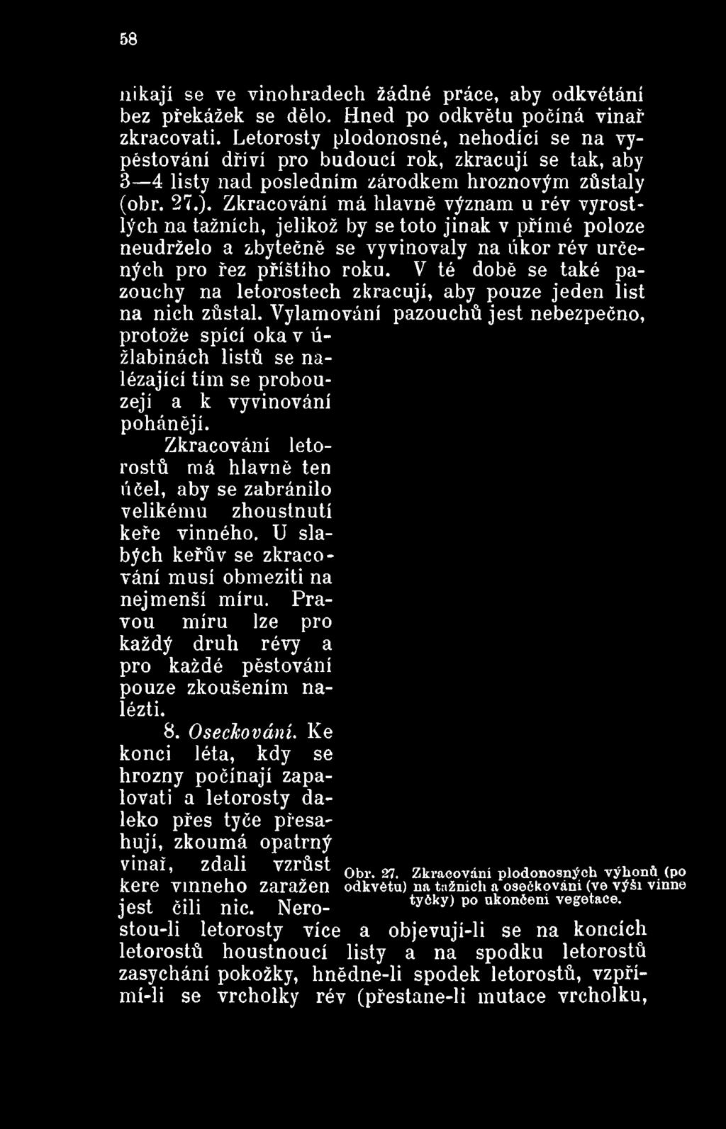 Vylamování pazouchů jest nebezpečno, protože spící oka v ú- žlabinách listů se nalézající tím se probouzejí a k vyvinování pohánějí.