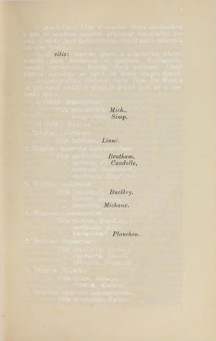 7 I. Museadinia, kůra víceletého dřeva neodsedává a jest na povrchu četnými průduchy (lenticelly) posetá. Úponky jsou nerozvětvené. Oddíl tento zahrnuje jen dva druhy. II.