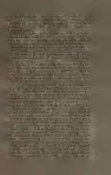 V druhém roce porostou výhony již bujněji a bude proto potřeba opatřiti přiměřené opory na stěnách, ku kterým by se výhony mohly vázati.