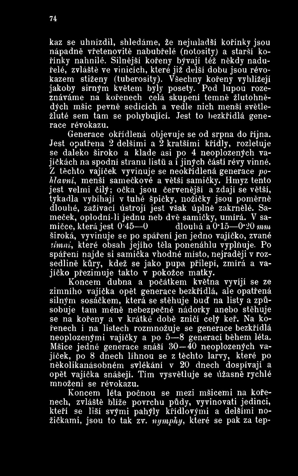 Jest opatřena 2 delšími a 2 kratšími křídly, rozletuje se daleko široko a klade asi po 4 neoplozených vajíčkách na spodní stranu listů a i jiných částí révy vinné.