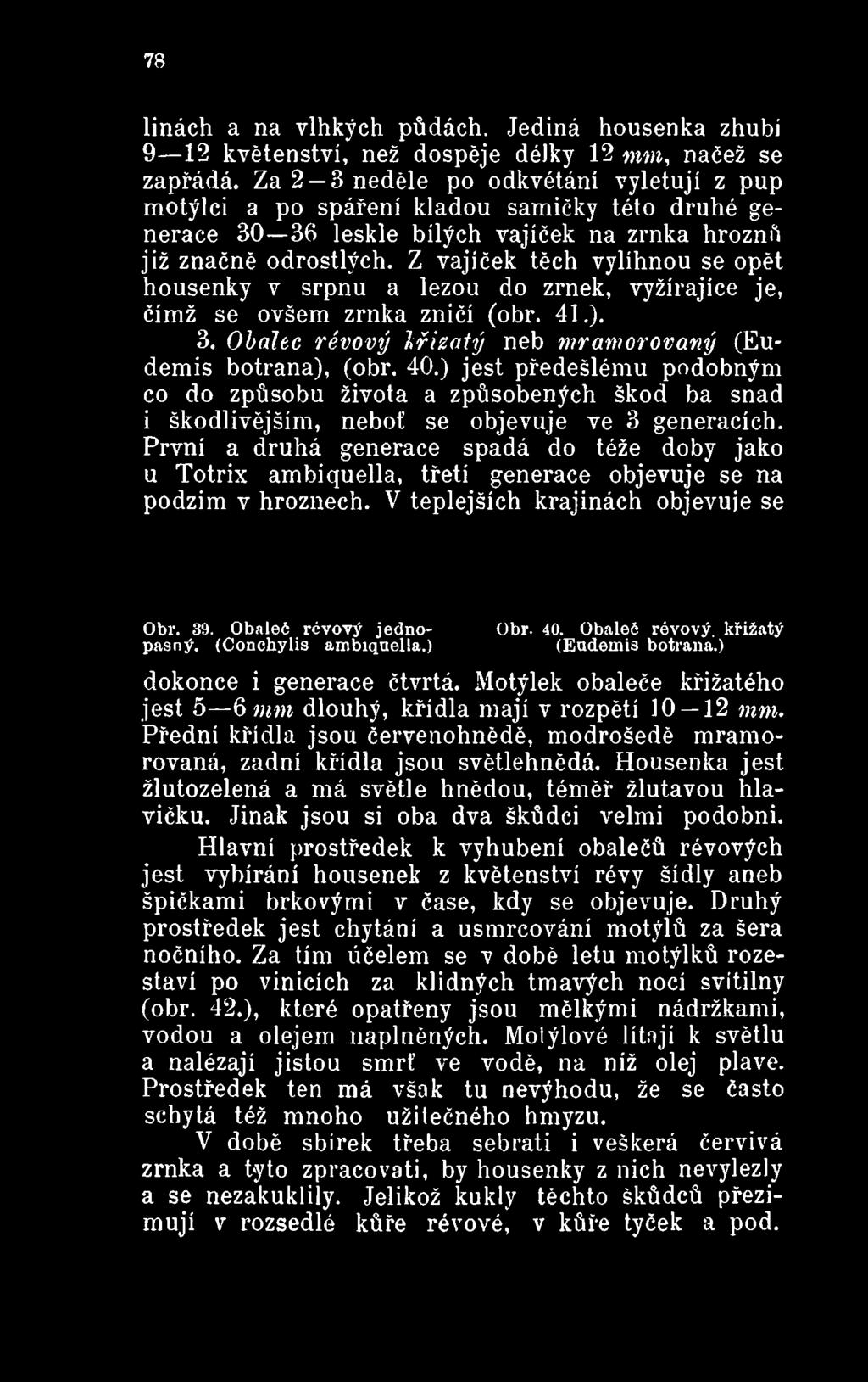 První a druhá generace spadá do téže doby jako u Totrix ambiquella, třetí generace objevuje se na podzim v hroznech. V teplejších krajinách objevuje se Obr. 39. Obaleó révový jedno- Obr. 40.
