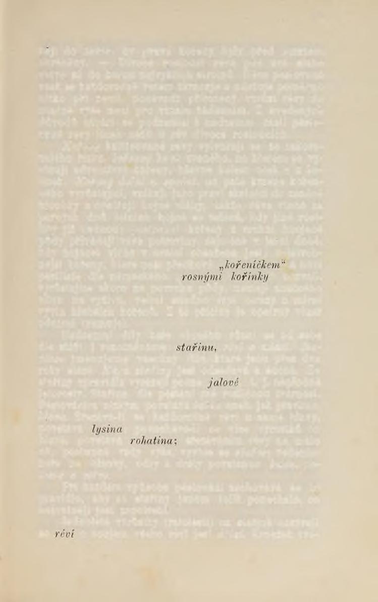 o beji do země, by pravé kořeny byly před mrazem chráněny. Divoce rostoucí réva pne své slabé větve až do korun nejvyšších stromů.