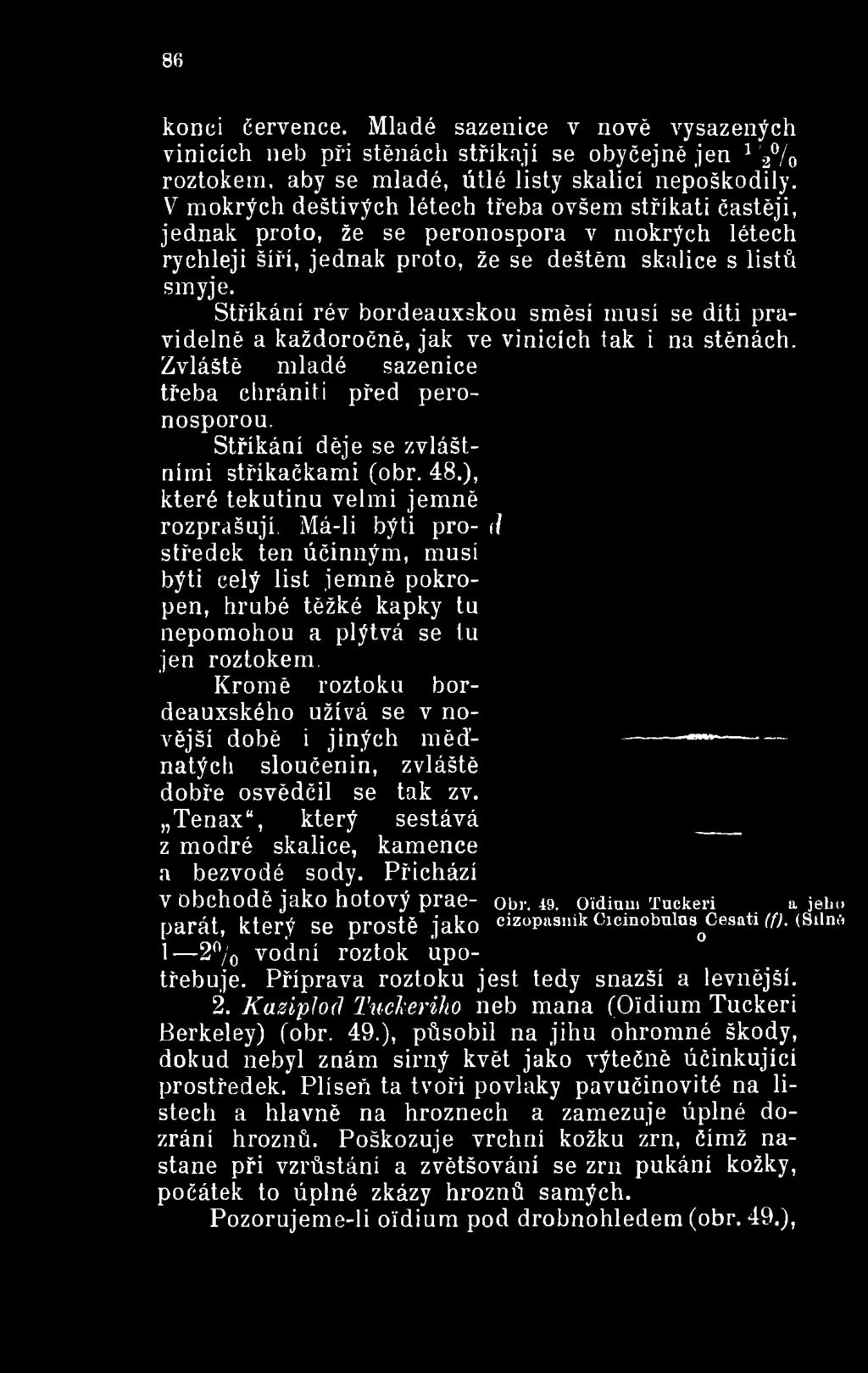 Má-li býti pro- il středek ten účinným, musí býti celý list jemně pokropen, hrubé těžké kapky tu nepomohou a plýtvá se tu jen roztokem.