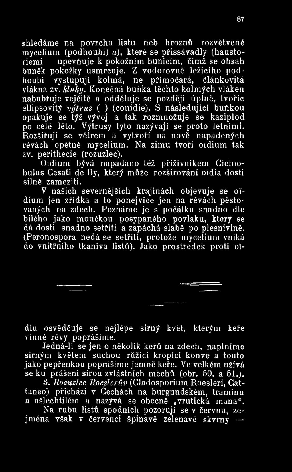 Na zimu tvoří oidium tak zv. perithecie (rozuzlec). Oidium bývá napadáno též příživníkem Cicinobulus Gesati de By, který může rozšiřování oidia dosti silně zameziti.