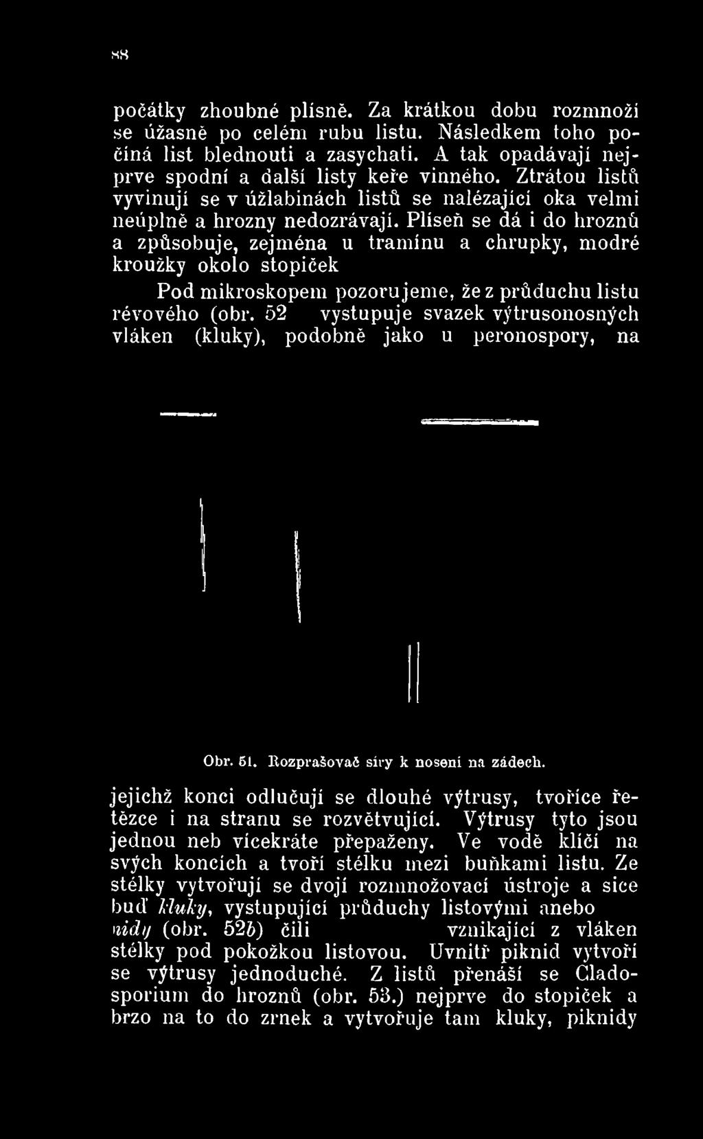 listu révového (obr. 52 a)vystupuje svazek výtruson vláken (kluky), podobně jako u peronospory, na Obr. 61.