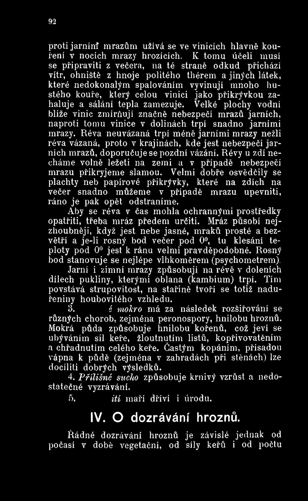 Révy u zdí necháme volně ležeti na zemi a v případě nebezpečí mrazu přikryjeme slámou.