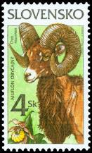 Muflón obyčajný (Ovis musimon) a) Zubor hôrny (Bison bonasus) b) c) Kamzík vrchovský (Rupicara rupicara tatrica) 96 4 Sk viacfarebná (=) a... 6,- 2,- 97 4 Sk viacfarebná (=) b.