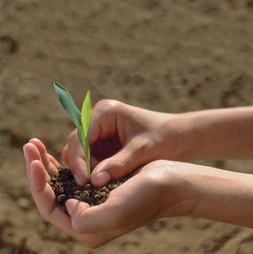 NOVINKA 2014 Callisto Plant Technology Herbicíd na kontrolu ši rokého spektra dvoj klíč nolistových burín