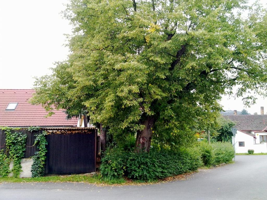 80)