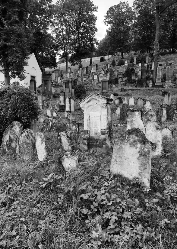 Výroční zprávu doplňují portréty přeživších holocaust, které zvěčnil fotograf Jindřich Buxbaum během vzpomínkového setkání u příležitosti