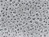 FILTRACE Membránové filtry Fisher Membrána z čistého acetátu celulózy (CA) nabízí nejnižší vaznost, díky tomu vysoký výkon bez nutnost častých výměn filtru při filtraci roztoků s proteiny.