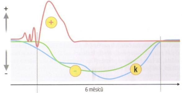 ambivalenci mohou cítit ke svým rodičům, především potom matkám (VÁGNEROVÁ, 2008).