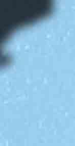 GAMMA-IL 160 TS 1C GAMMA-IL TS 1C