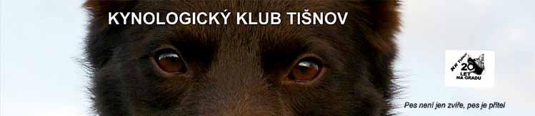 Splnění všech úkolů pak vede k tajné místnosti s pokladem.