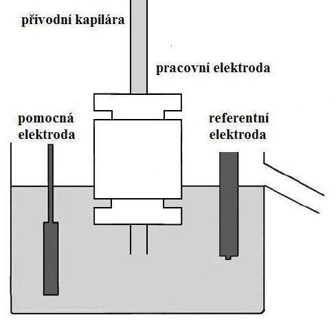 Laboratorní přístroje Praha, Česká republika), doplněných spektrofotometrickým detektorem Sapphire (ECOM, Česká republika). Coulometrický detektor pracoval v tří-elektrodovém zapojení (obr 3.