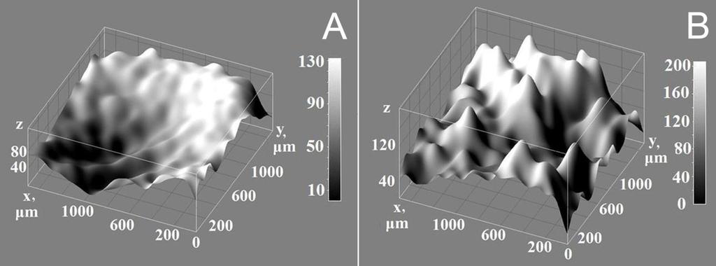 Obr. 4.8 Stereometrická projekce povrchu uhlíkové pastové elektrody ze skelného uhlíku; čerstvě obnovený povrch (A) a povrch vystavený působení roztoku 80% methanolu po dobu 60 sekund (B). 4.1.3.