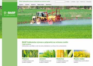 Výnosová úroveň hybridu VERITAS CL při použití herbicidu Cleravis Hořčice rolní byla v založených porostech ozimé řepky při současných teplých zimách až do doby příchodu CL technologie prakticky