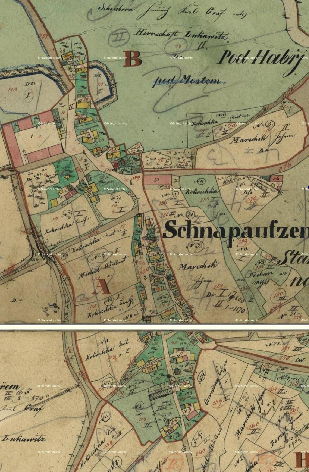 Obr. 10: Snopoušovy - Stabilní katastr Indikační