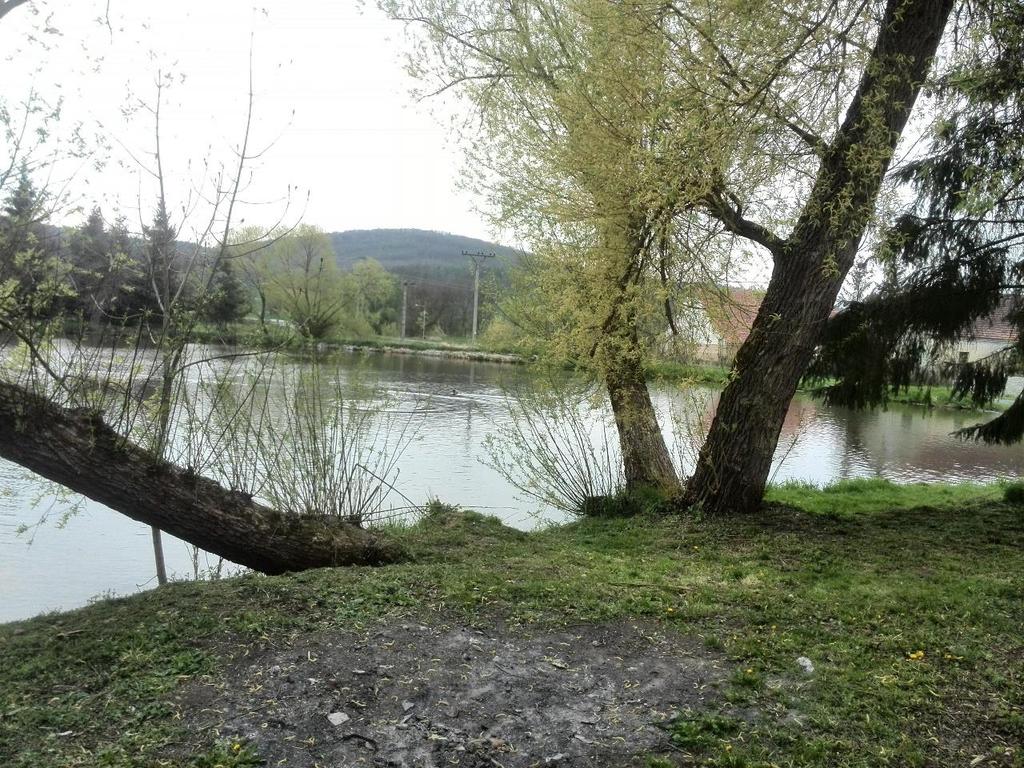 19: Snopoušovský rybník pohled