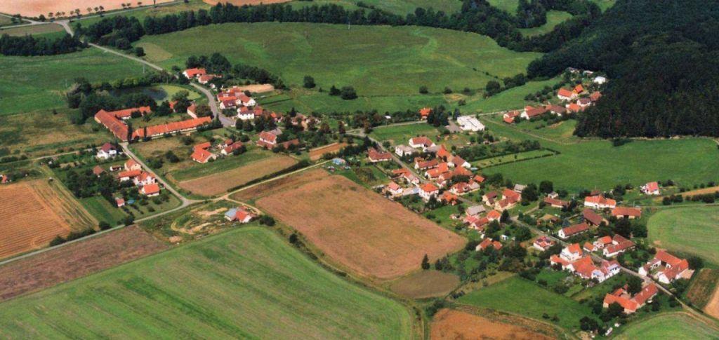 Úvod V této práci představím vesnici Snopoušovy na základě starých katastrálních údajů. Popíši vesnickou stavbu, sýpku, která sloužila na skladování obilí.