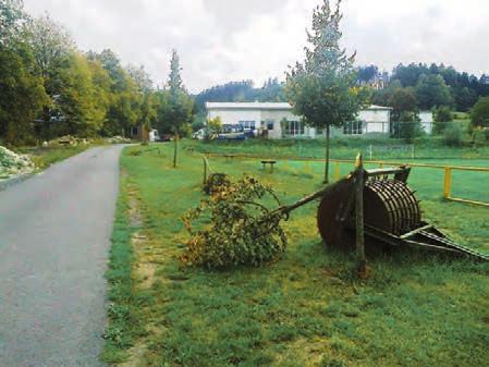 V Liptále řádil vandal Čtyři mladé lípy u fotbalového hřiště v Liptále se staly terčem neznámého vandala. Policie žádá o pomoc při jeho dopadení. K události došlo v noci na neděli 12. srpna.