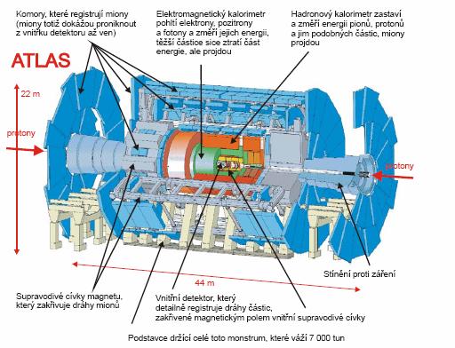 ATLAS bude jedním ze dvou (vedle CMS) velkých či univerzálních experimentů na LHC. Jeho detektor (viz. obr. 1) bude co do rozměrů vůbec největší.