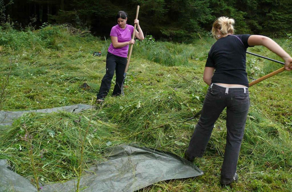 Prořezávky měly za cíl zejména zvýšit oslunění botanicky nejzajímavější části mokřadu s výskytem prstnatce a vachty.