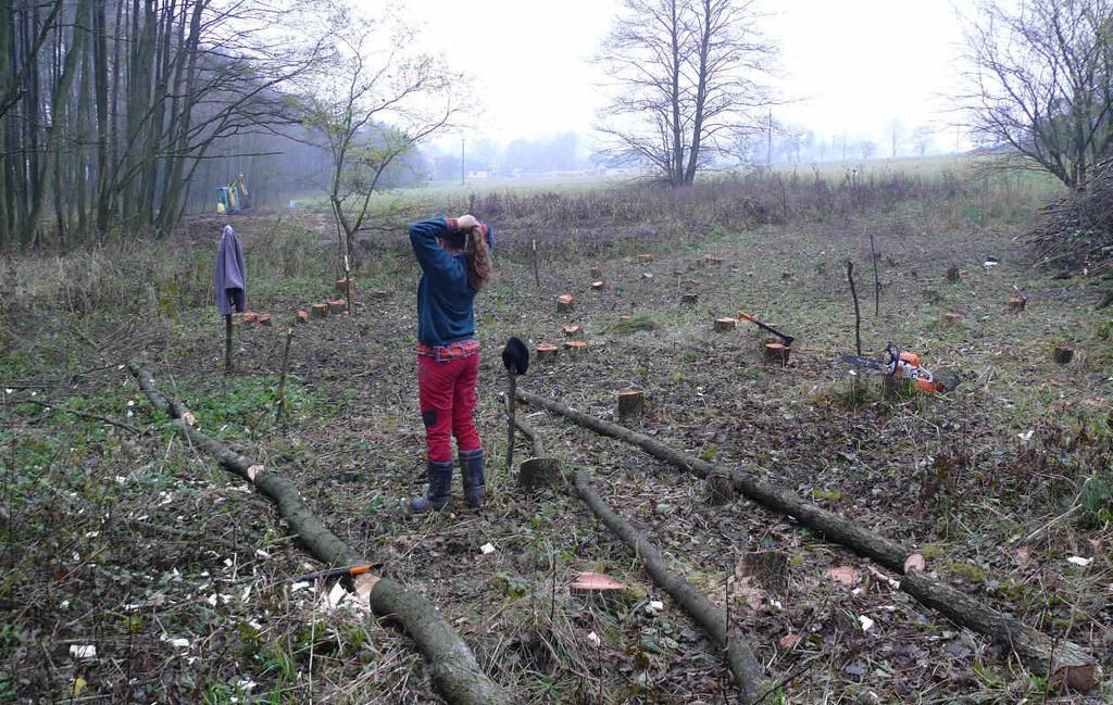 celkové výměře 840 m 2. Většina opatření byla cílena na podporu ropuchy zelené. Více o lokalitě na http://www.mokrady.wbs.cz/zaborna.html. Obr.