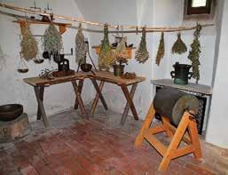 9. Múzeum špeciálneho školstva Expozícia je rozdelená do štyroch častí.