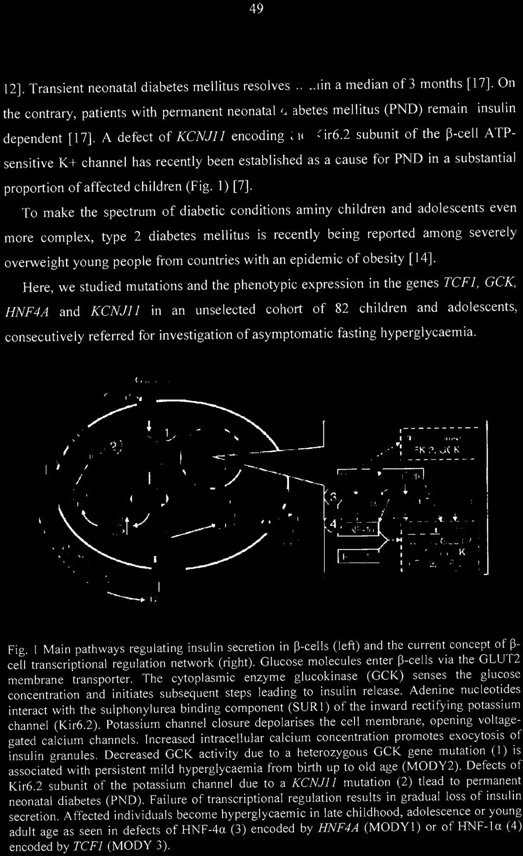 To make the spectrum of diabetic conditions aminy children and adolescents even more complex, type 2 diabetes mellitus is recently being reported among severe ly overweight young people from