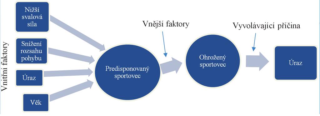 Mezi vnitřní rizikové faktory sportovních úrazů patří: věk anatomicko-fyziologické možnosti jedince (rozsahy pohybů jednotlivých kloubů, svalová síla, koordinace atd.