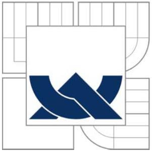 VYSOKÉ UČENÍ TECHNICKÉ V BRNĚ BRNO UNIVERSITY OF TECHNOLOGY FAKULTA PODNIKATELSKÁ ÚSTAV INFORMATIKY