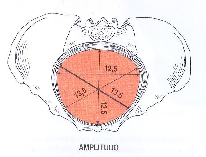 Pánevní šíře = S2-S3 střed acetabula střed (zadní okraj) symphysis pubica diameter recta: 12,5 cm