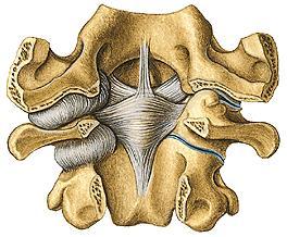 Articulatio atlantoaxialis mediana + lateralis AAAM kolový kloub ligg. alaria lig. apicis dentis lig.