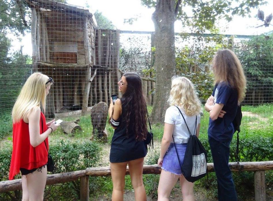 V zoologické zahradě měli za úkol zjistit, roční návštěvnost, průměrné denní návštěvy a které pavilony patří mezi nejnavštěvovanější. 15.4.5 Pobytová exkurze v CHKO Křivoklátsko Mgr.