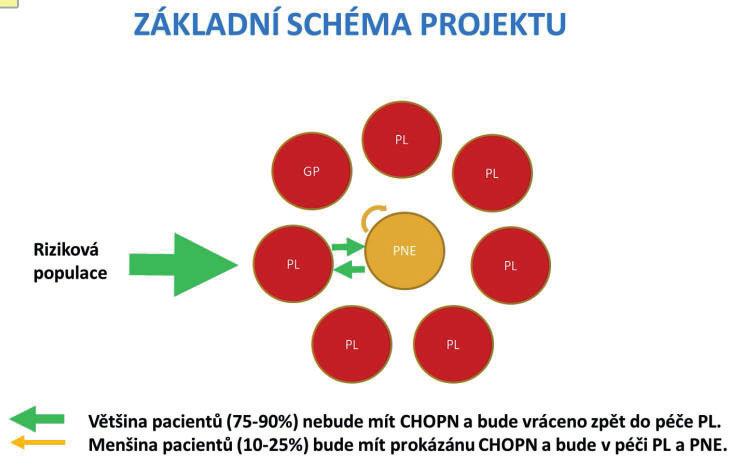 32 ODBORNÝ ČLÁNEK 20 cigaret denně, ekvivalentem je například 20 let 10 cigaret denně atd.