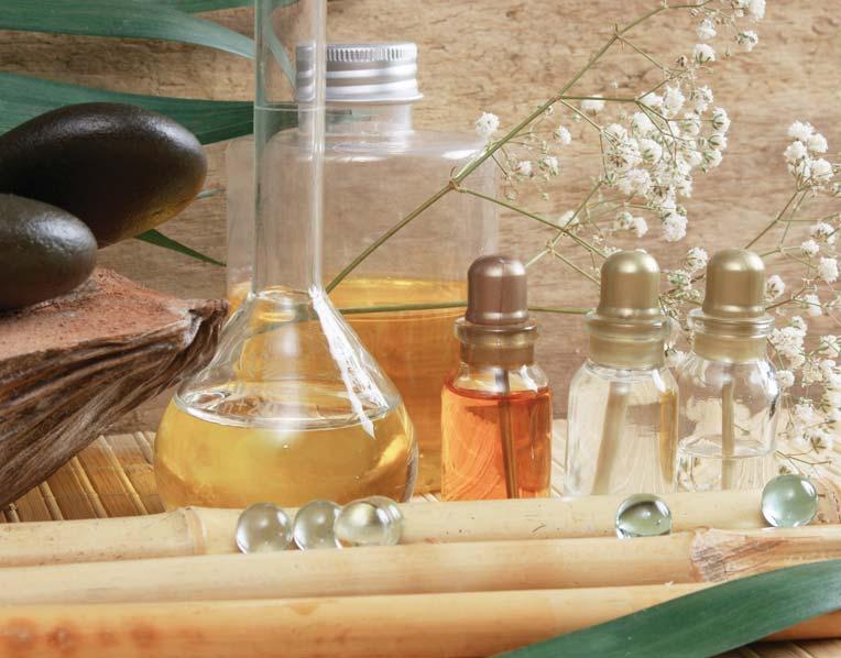 wellness Vše pro Wellness Spřibývající rychlostí našeho života a všudypřítomným tlakem na bezvadný výkon a produktivitu práce přibývá i klientů, jež hledají příjemné prostředí k relaxaci a