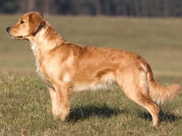 5. Určite