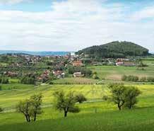 I hesla minulých Světových dnů stomiků hovoří o tom, co stomici chtějí a co dělají: 2015: Mnoho příběhů, jeden hlas 2012: Buďme slyšet 2009: Podat pomocnou ruku 2006: Žít plnohodnotně 2002: Ano, my