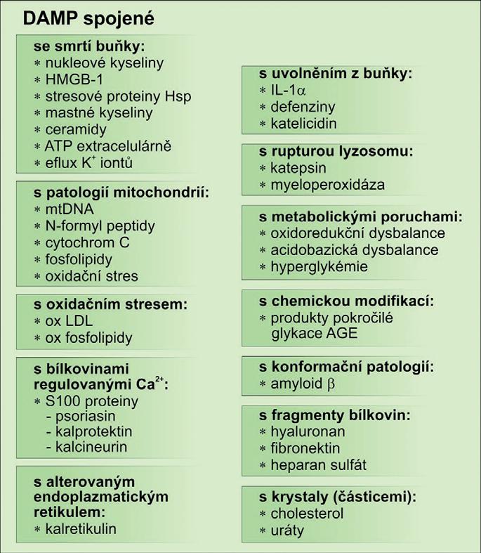 MAPK a aktivace transkripčního faktoru NFκB.