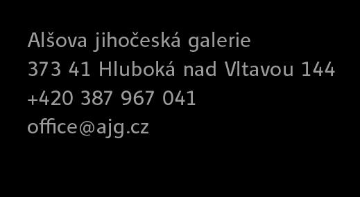střední umělecké školy a další vzdělávací instituce.