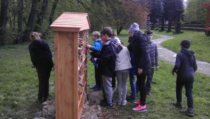 Na začátku jsme vypili zelený lektvar. Pak jsme šli k mravencům. Další stanoviště byli vodní tvorové, lovili jsme je z tůňky. A na konci nás zase vysvobodil lektvar.