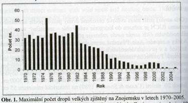 Ohrožení dropa velkého v ČR Příčiny ohrožení: v ČR bez územní ochrany změna struktury pěstovaných plodin na tradičním hnízdišti, tokaništi i zimovišti (vymizení