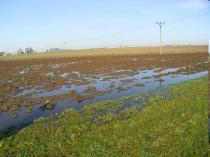 let rozoráno 270 000 ha luk, dnes evidováno 1 084 000 ha zemědělských pozemků odvodněných trubkovou drenáží