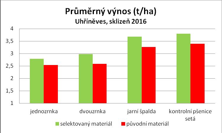klasů na m 2, tj. 117,6 % počtu klasů u porostů z původního materiálu (309,5 klasů na m 2 ).