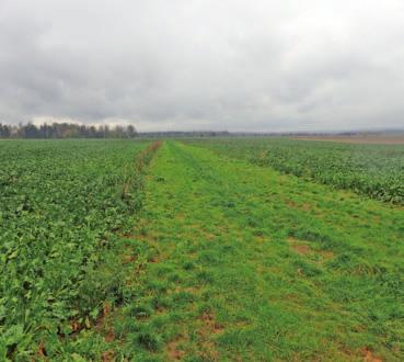 má zemědělská veřejnost možnost shlédnout formou názorných ukázek nové agrotechnické postupy podporující výnos a dlouhodobě udržitelné zemědělství a současně si vyslechnout užitečné informace