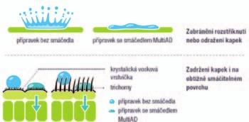 Graf 3 Společná aplikace phad + fungicid podpořila účinnost proti listovým chorobám jarního ječmene Pionier a navýšila výnos o 4 % v porovnání s pouze fungicidně ošetřenou variantou.