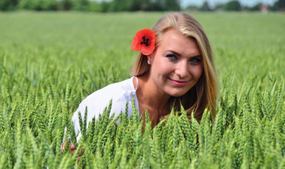 Registrované odrůdy ozimé pšenice firmy Selgen Steffi B Steffi - rentabilita při různé intenzitě pěstování (agrotechnický pokus Selgen 2016) Kč/ha 35 000 30 000 31 089 32 449 34 089 Neošetřeno 1