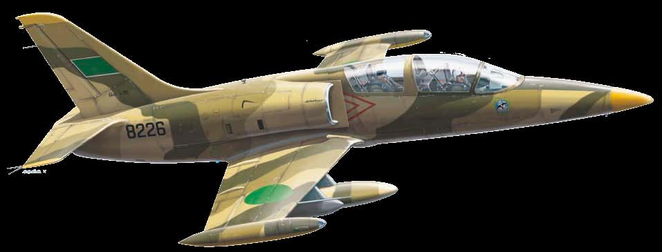 Jako hlavní bonus bude v balení palubní deska v měřítku ¼, oproti palubní desce Bf 110 i se zaměřovačem REVI 12D.