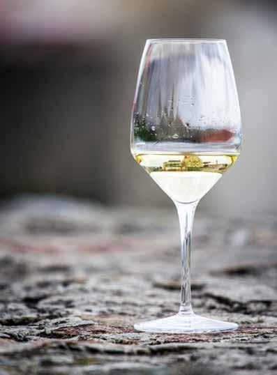 Sauvignon Ryzlink rýnský